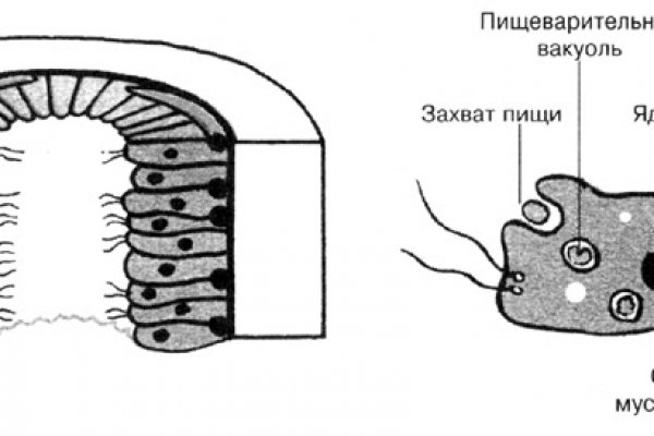 Кракен без впн