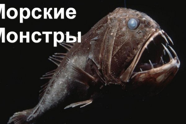 Почему не работает сайт кракен