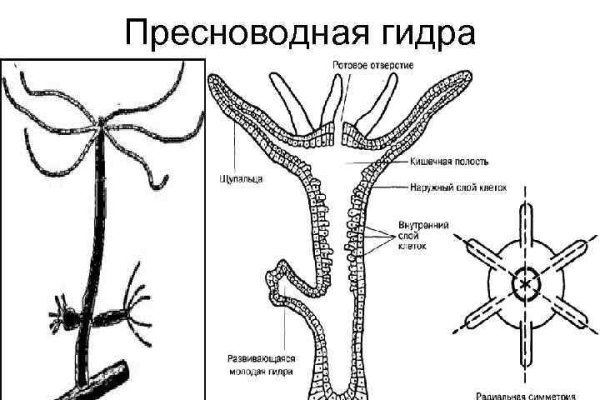 Кракен тор kraken014 com