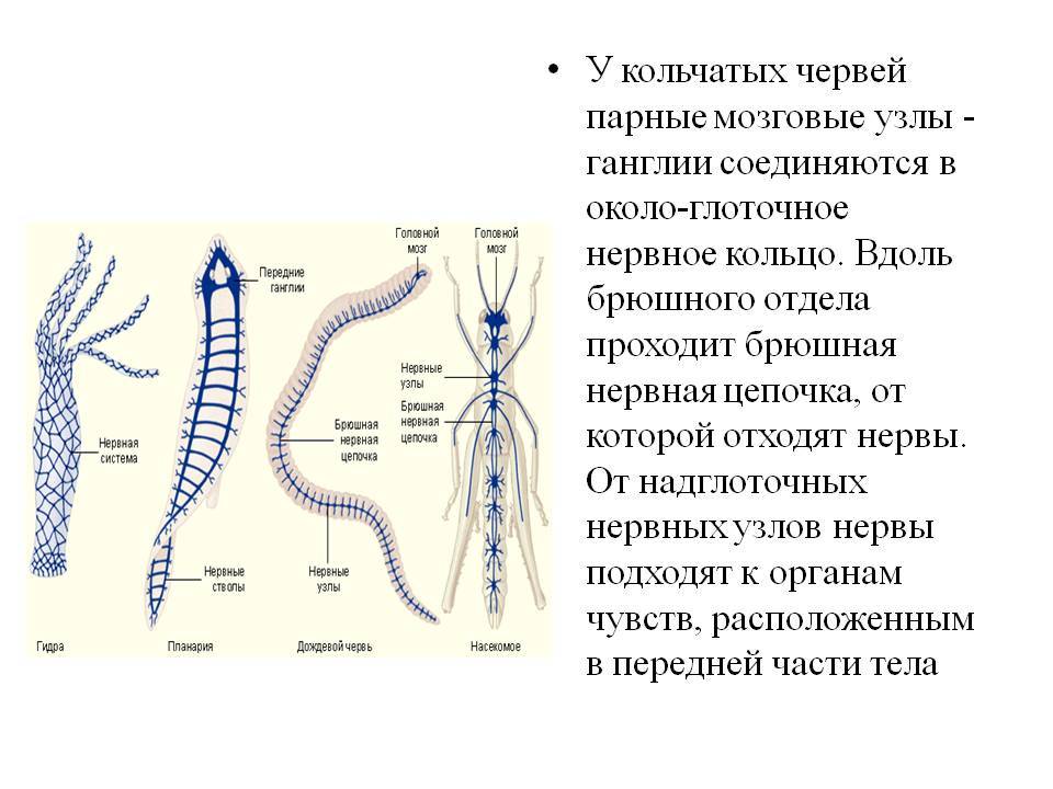 Настоящая ссылка на кракен